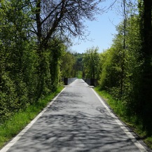 The road across the Wohleibrücke. One lane!